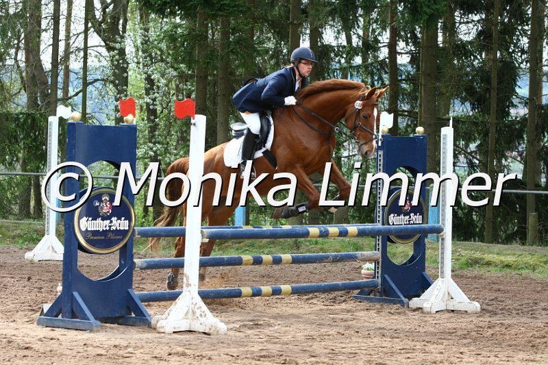 204M9088_Brana_Stil Ax.JPG